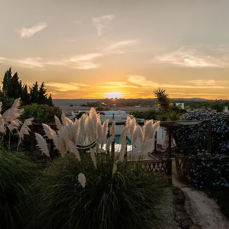 Apartamento Flamenca *