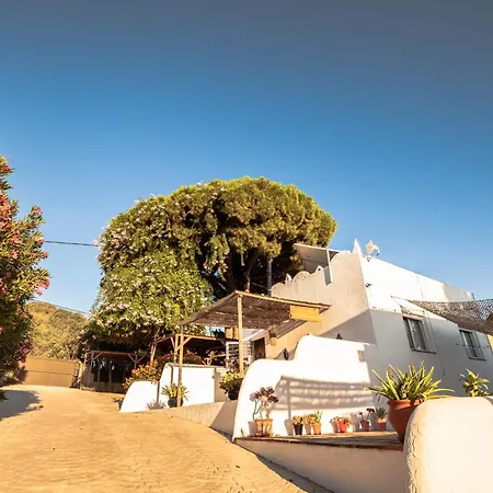 Flamenca Apartment
